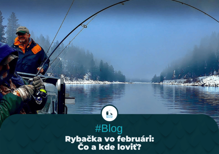 Rybačka vo februári: Čo a kde loviť?