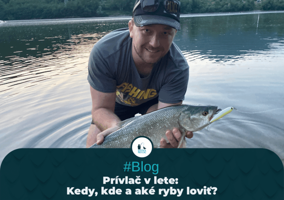 Prívlač v lete. Kedy, kde a aké ryby loviť?