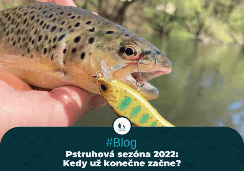 Pstruhová sezóna 2022 – Kedy už konečne začne?
