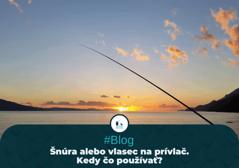 Šnúra alebo vlasec na prívlač. Kedy čo používať?