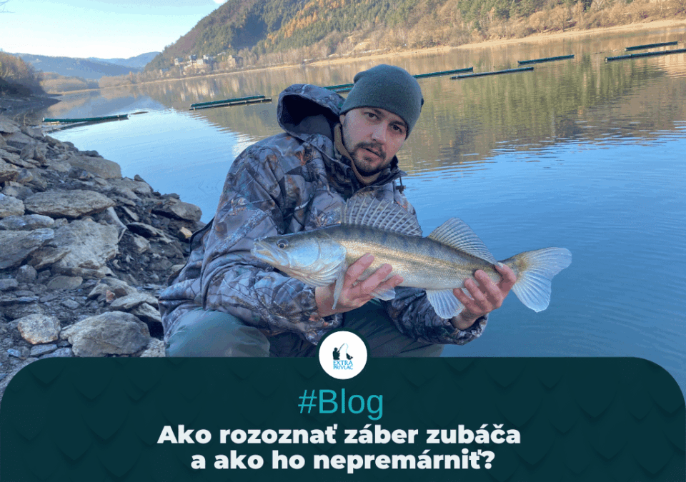 Ako rozoznať záber zubáča a ako ho nepremárniť?