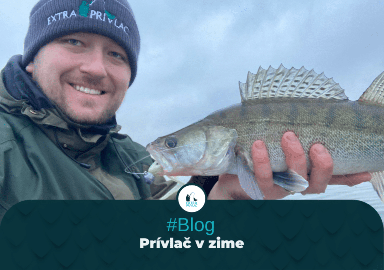 Prívlač v zime
