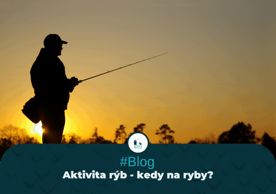 Aktivita rýb – kedy na ryby?