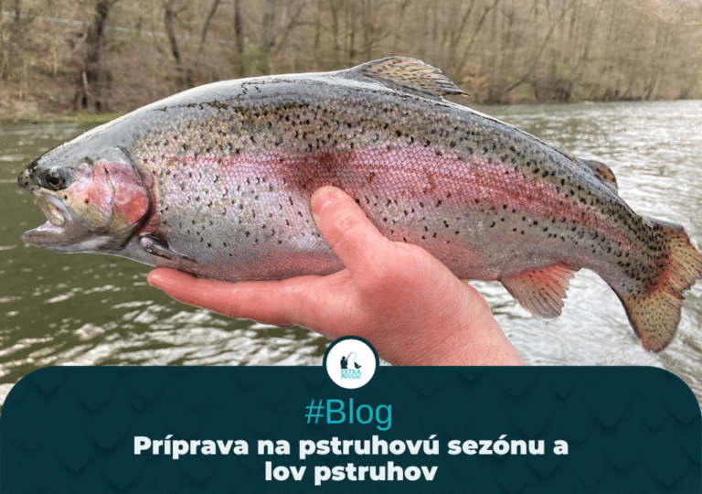 Príprava na pstruhovú sezónu a lov pstruhov