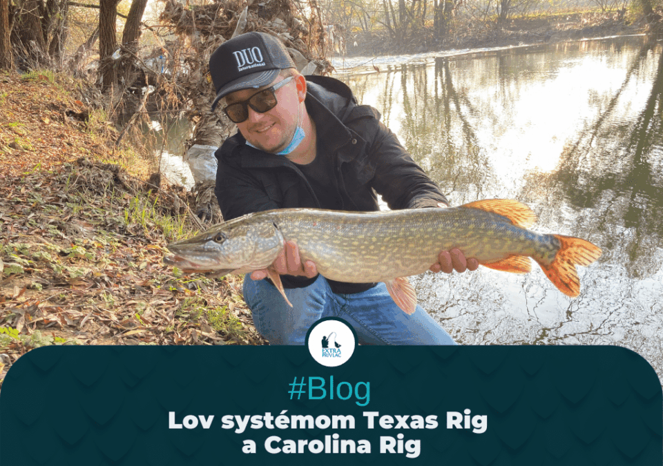 Lov systémom Texas Rig a Carolina Rig