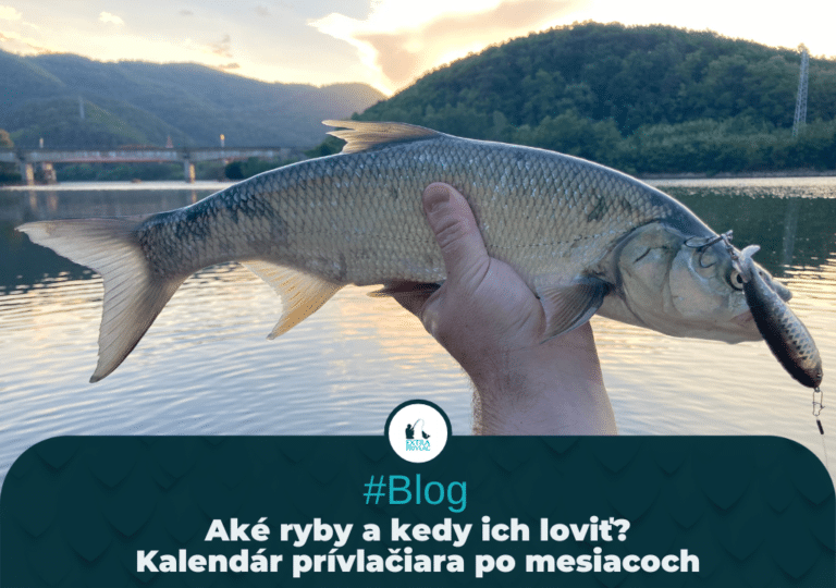 Aké ryby a kedy ich loviť? Kalendár prívlačiara po mesiacoch.