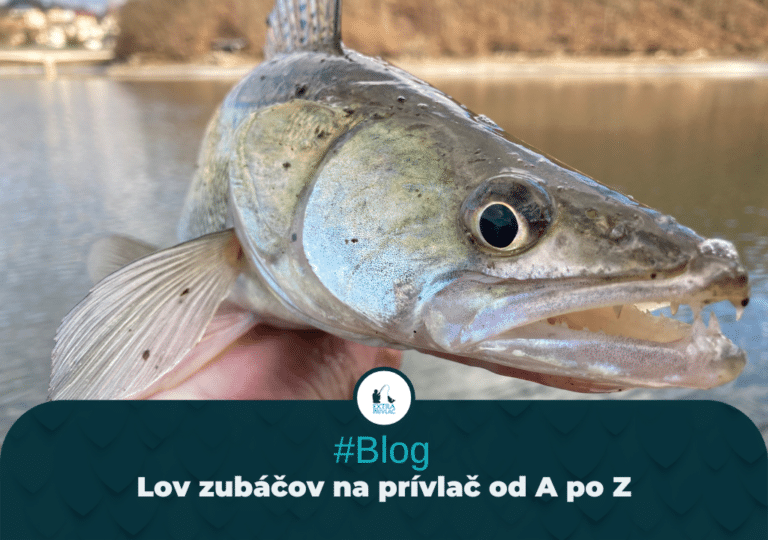Lov zubáčov na prívlač od A po Z
