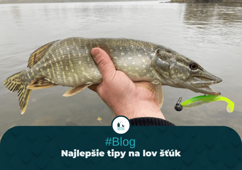 Najlepšie tipy na lov šťúk