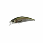Rainbow Trout ND