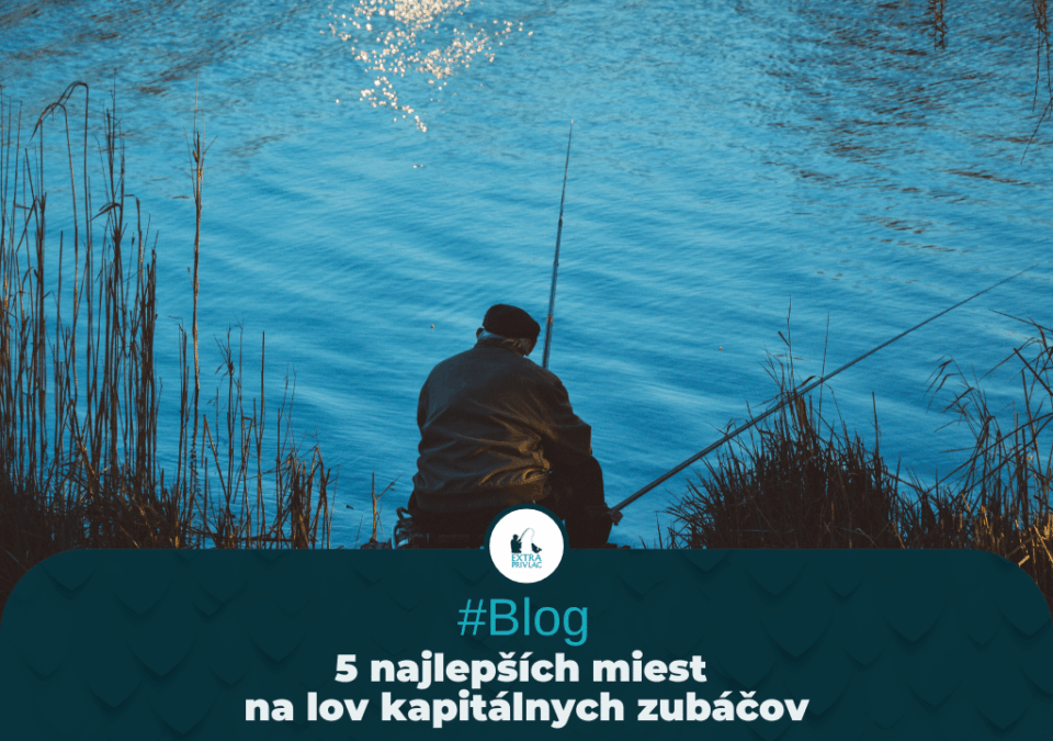 5 najlepších miest na lov kapitálnych zubáčov