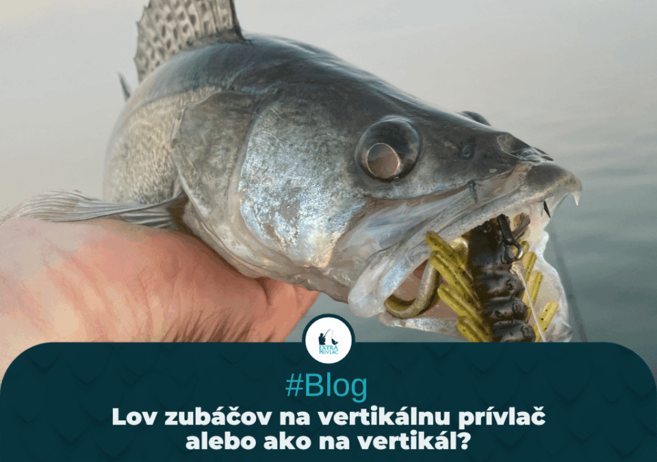 Lov zubáčov na vertikálnu prívlač, alebo ako na vertikál?
