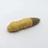 Cheese:coffee Milk-fishup-pupa-extraprivlac