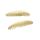 Libra-lures-larva-extraprivlac-005-CHEESE