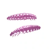 Libra-lures-larva-extraprivlac-018-PINK-PEARL