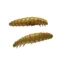 Libra Lures-Larva - 036 Coffe Milk