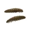 Libra Lures-Larva - 038 Brown