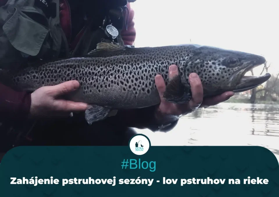 Zahájenie pstruhovej sezóny 2025 – príprava a najlepšie nástrahy