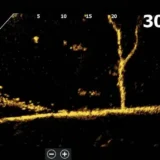 sonda-k-sonaru-active-target-extraprivlac-4