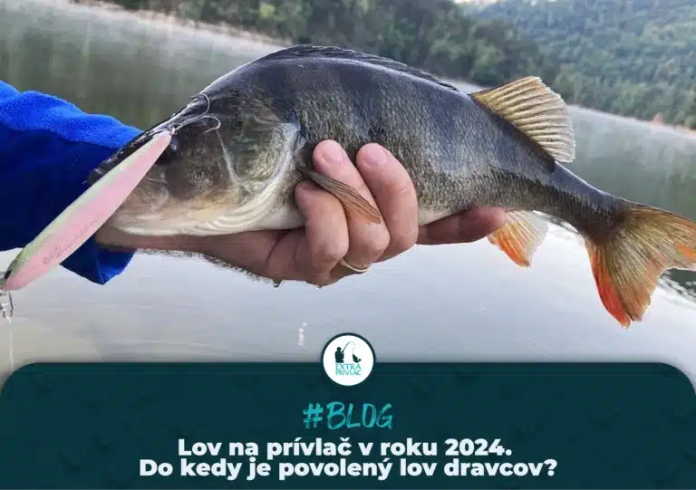 Kedy môžem loviť na prívlač?
