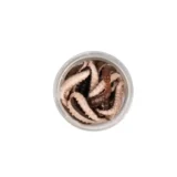 osia larva Berkley Honey Worm Extraprívlač Grey Pearl