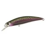 Rainbow Trout