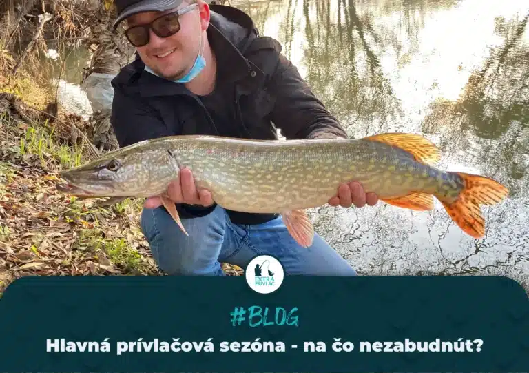 Hlavná prívlačová sezóna
