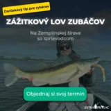 Zážitkový lov zubáčov so sprievodcom - VN Zemplínska Šírava