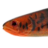 Westin Shad Teez Slim 18cm