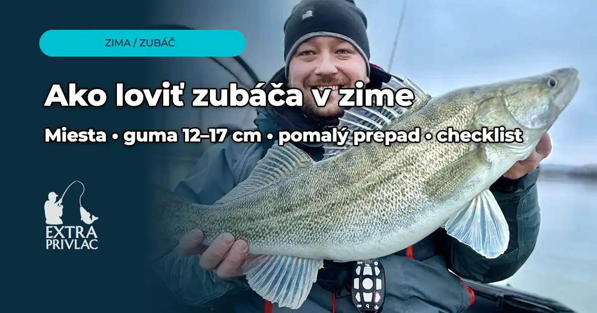 Lov zubáčov v zime