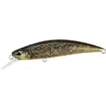 Brown Trout ND