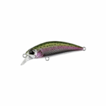 Rainbow Trout