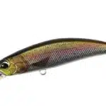 Rainbow Trout ND