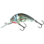 Holographic Grey Shiner