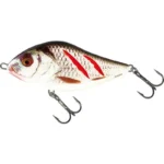 Real Grey Shiner