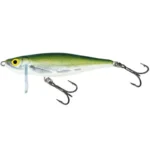 Olive Bleak