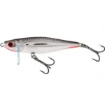 Silver Flashy Fish