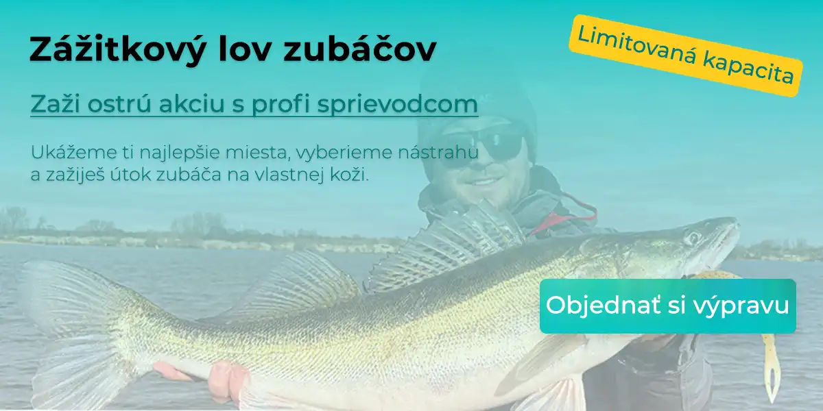 Zážitkový lov zubáčov