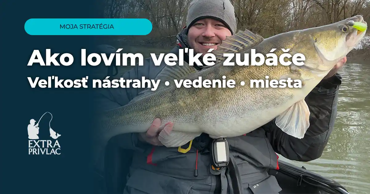 Ako lovím veľké zubáče – môj kľúč k úspechu