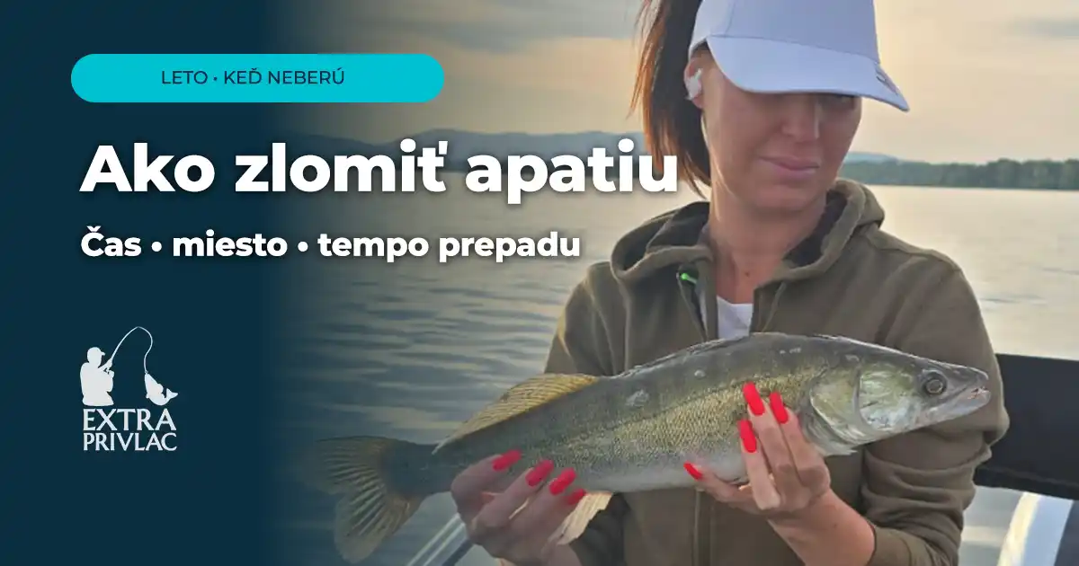 Letný lov zubáčov