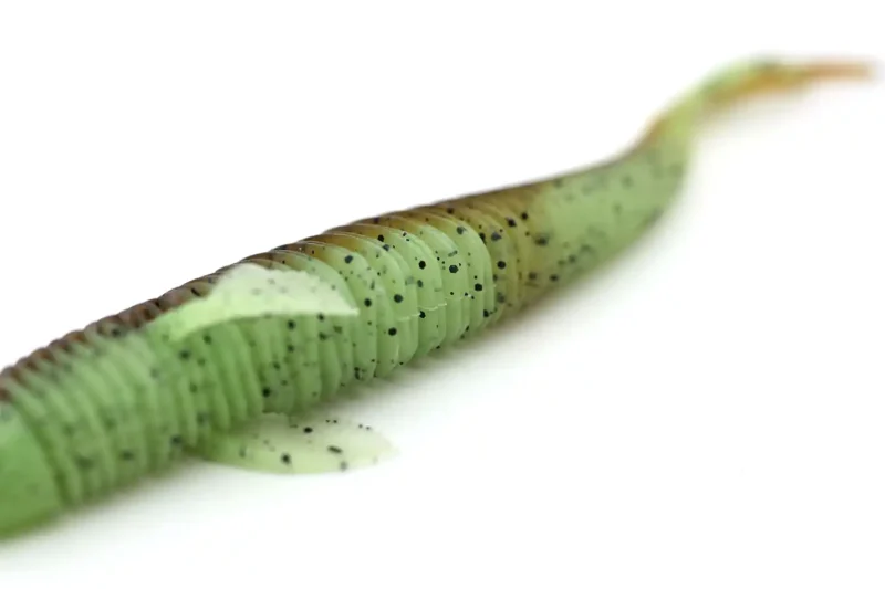 Placoid-IZO-belly2 Placoid-IZO-belly2