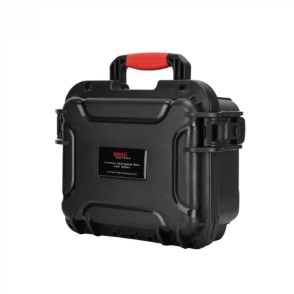 Rgino Lifepo bateria