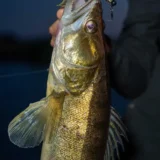 fox-rage-scent-shad-1