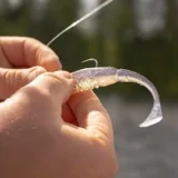 fox-rage-scent-shad-11