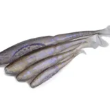 fox-rage-scent-shad-4