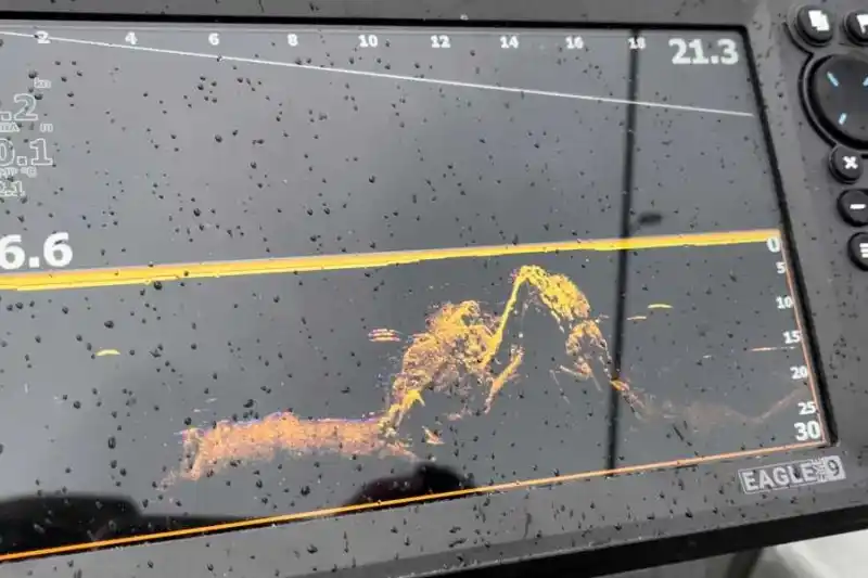 sonar-lowrance-eagle-eye-live-11 sonar-lowrance-eagle-eye-live-11