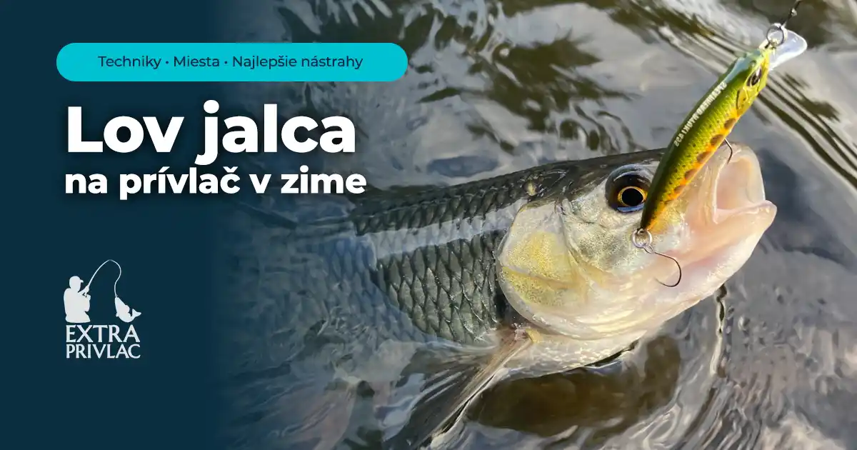 Lov jalca na prívlač