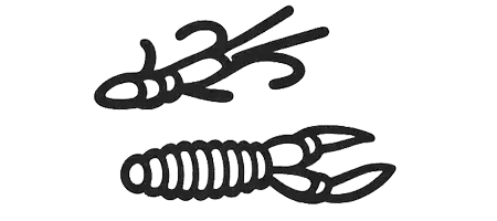 Nymfy, raky a červy