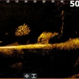 at2-xl-skiatook-balvan-a-zhluk-ryb--456-848k