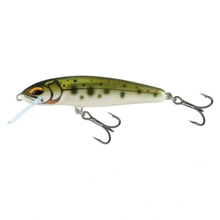 Salmo Minnow 6 cm Floating